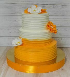 Торт оранжевый №509513