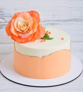 Торт оранжевый №509519