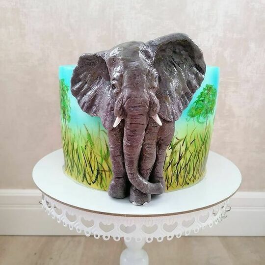 Торт со слоном №492401