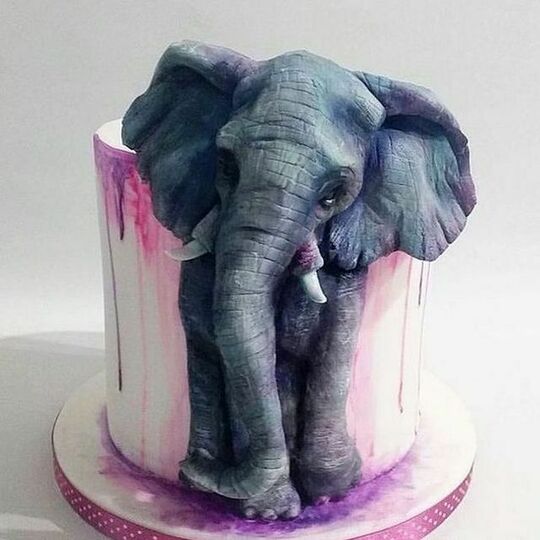 Торт со слоном №492421