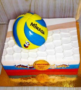 Торт волейбол №465219