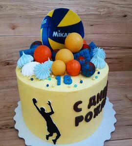 Торт волейбол №465221