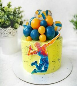 Торт волейбол №465231