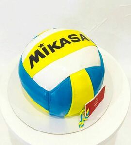 Торт волейбол №465236