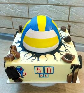 Торт волейбол №465241
