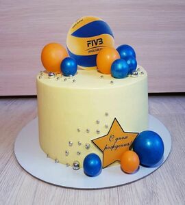 Торт волейбол №465247