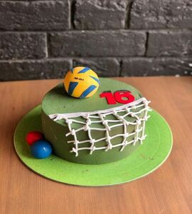 Торт волейбол №465254