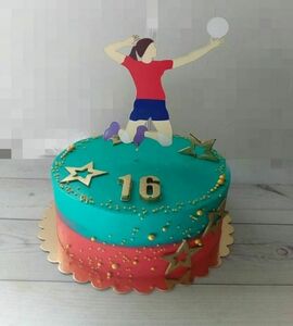 Торт волейбол №465262