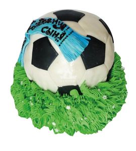 Торт Мяч с шарфом на траве